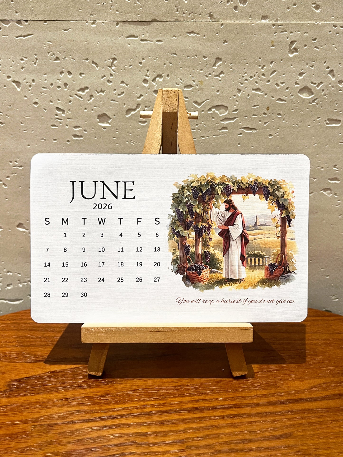 ✨Last Day 49% OFF ⏰ – 🌱Jesus-Inspired Plantable Seed Calendar 2026 – A Faithful Gift 🎁