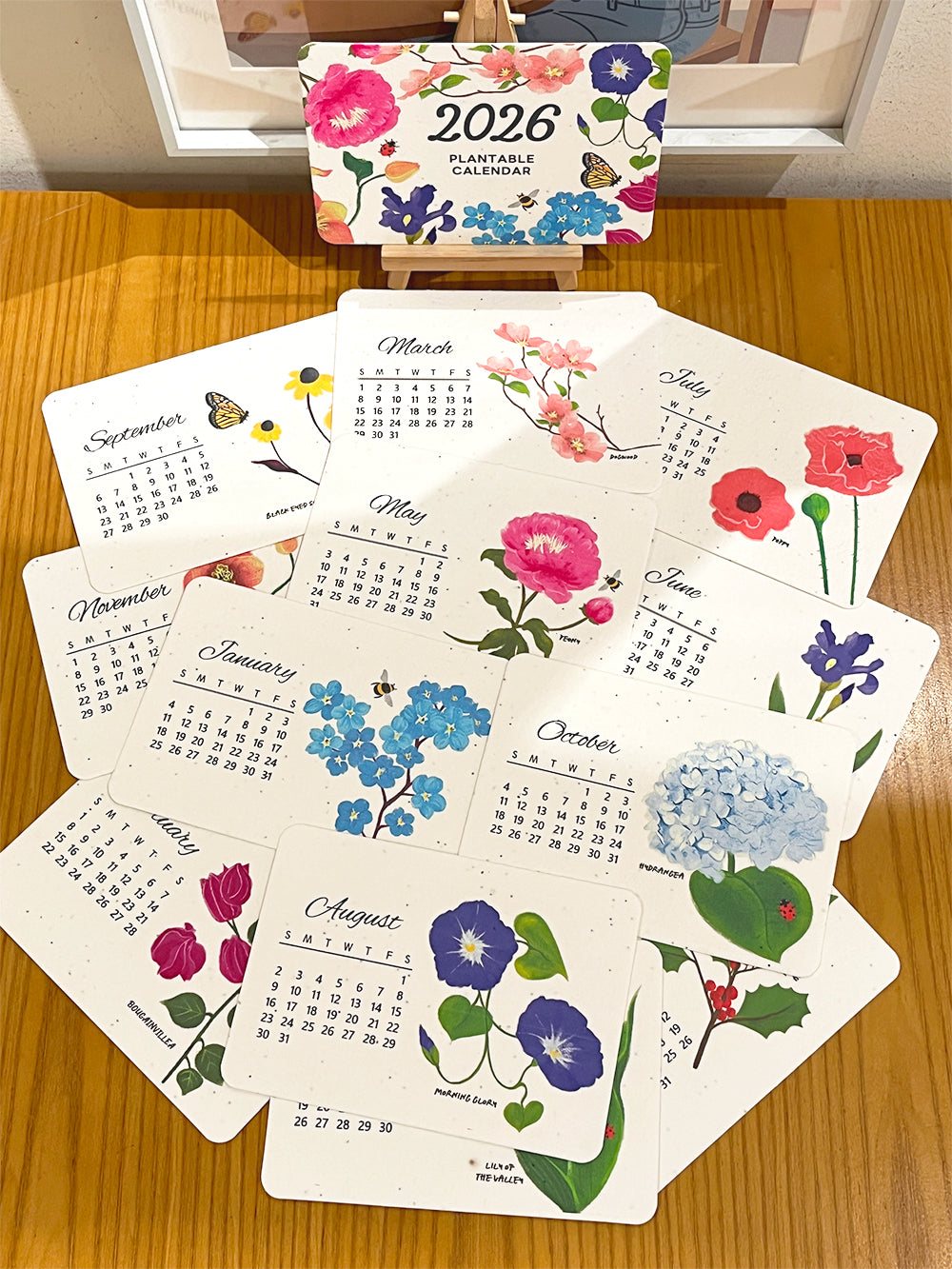 ✨Early Black Friday Sale 70% OFF🌱Eco-Friendly Plantable Love Seed Calendar 2026