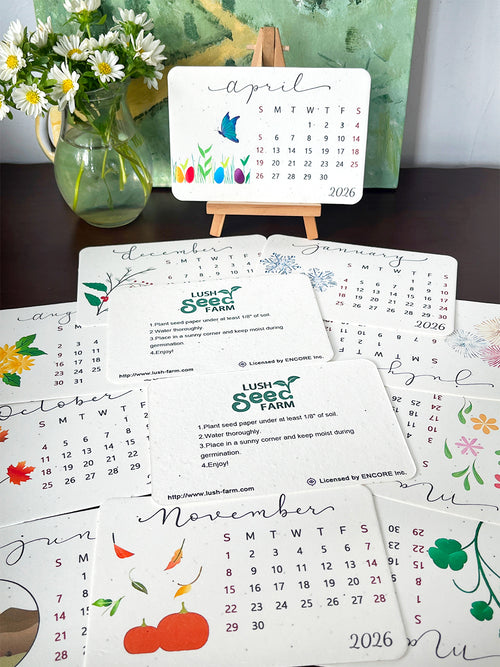 ✨Early Black Friday Sale 70% OFF🌱Eco-Friendly Plantable Love Seed Calendar 2026