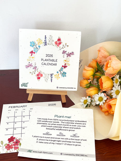 ✨Early Black Friday Sale 70% OFF⏰ - 🌱Plantable Desk Calendar 2026 - Gift idea🎁