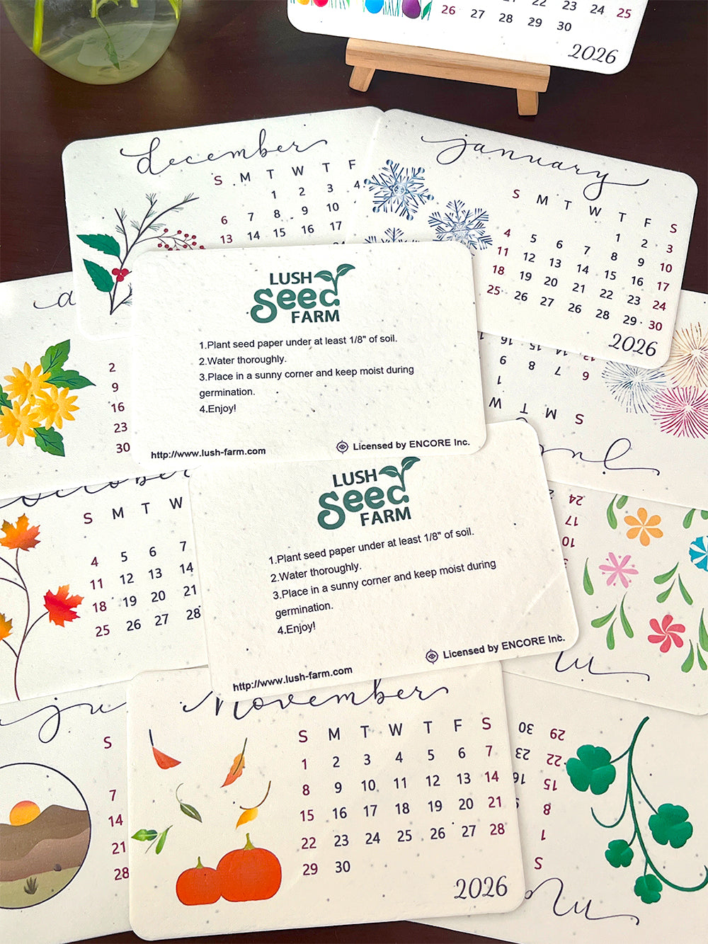 ✨Early Black Friday Sale 70% OFF🌱Eco-Friendly Plantable Love Seed Calendar 2026