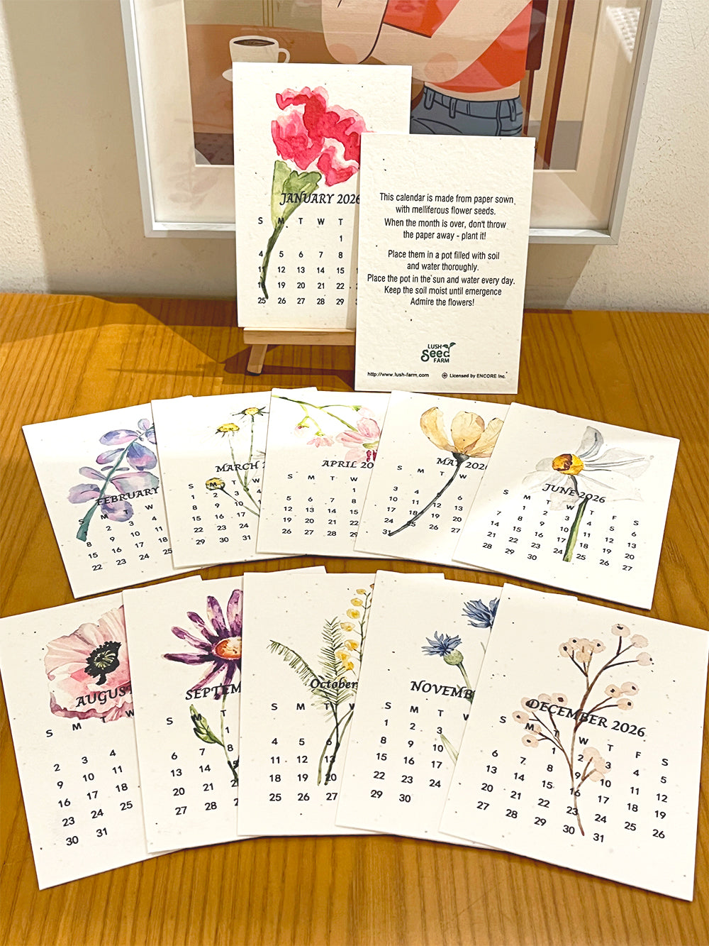 ✨Early Black Friday Sale 70% OFF🌱Eco-Friendly Plantable Seed Calendar 2026